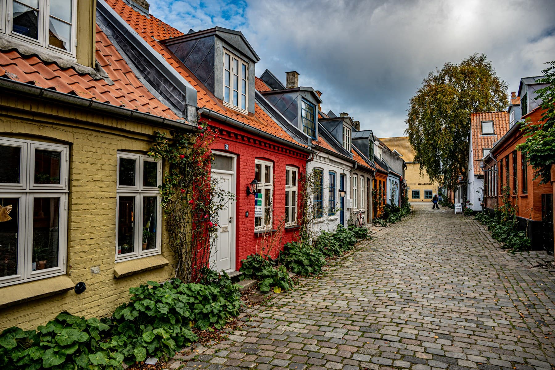 Latinerkvarteret & midtbyen